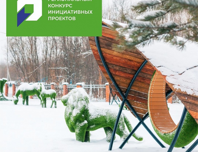 Подведены итоги второго регионального конкурса инициативных проектов